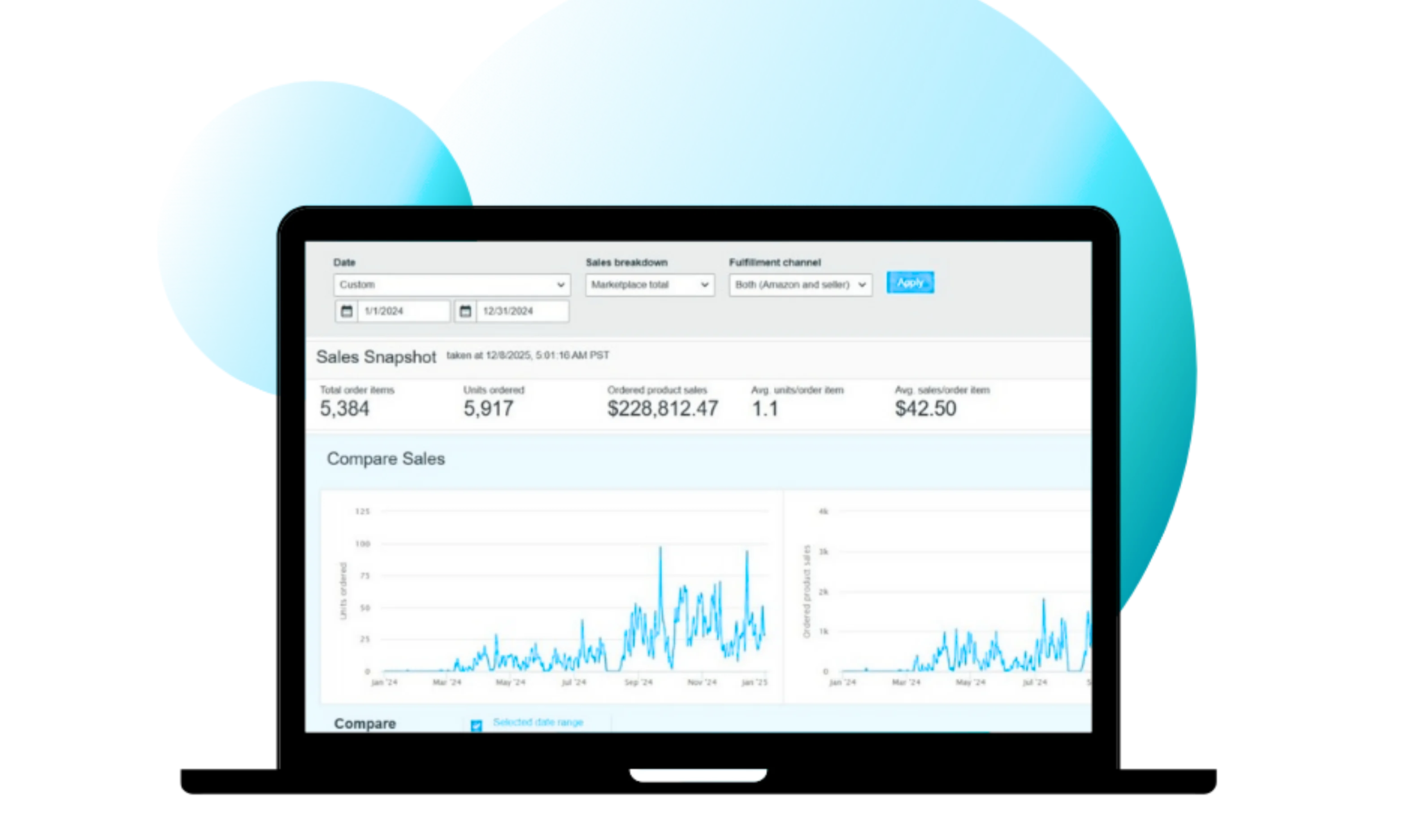 Amazon sales dashboard showing $228,812.47 in annual sales